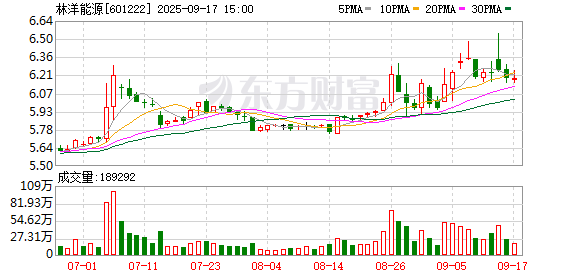 普惠配资 林洋能源：与澳洲兰吉尔签订约3.83亿元智能电表供货合同